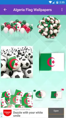 Algeria Flag Wallpaper Flags android App screenshot 6