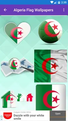 Algeria Flag Wallpaper Flags android App screenshot 7